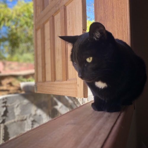 Chloe