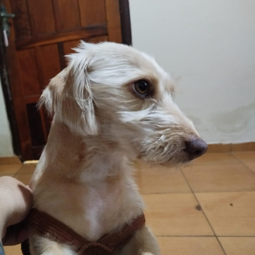 Valentina 