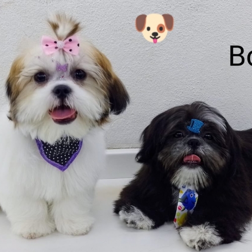 Boby e mel 
