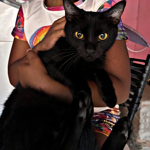 Corinthians