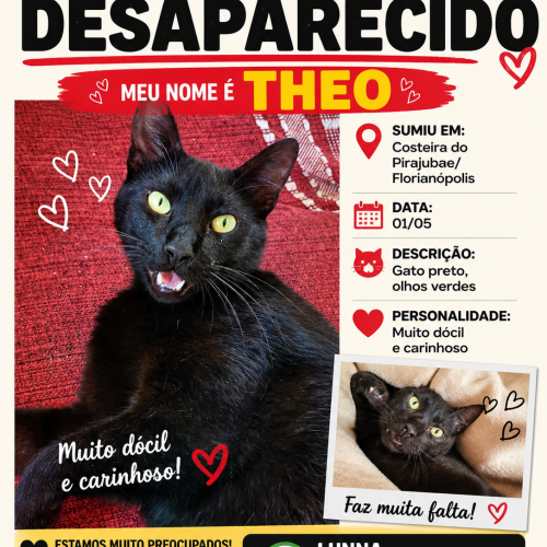 THEO