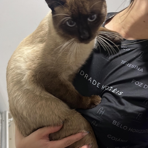 Francisco